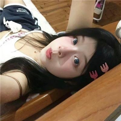 吉娃娃