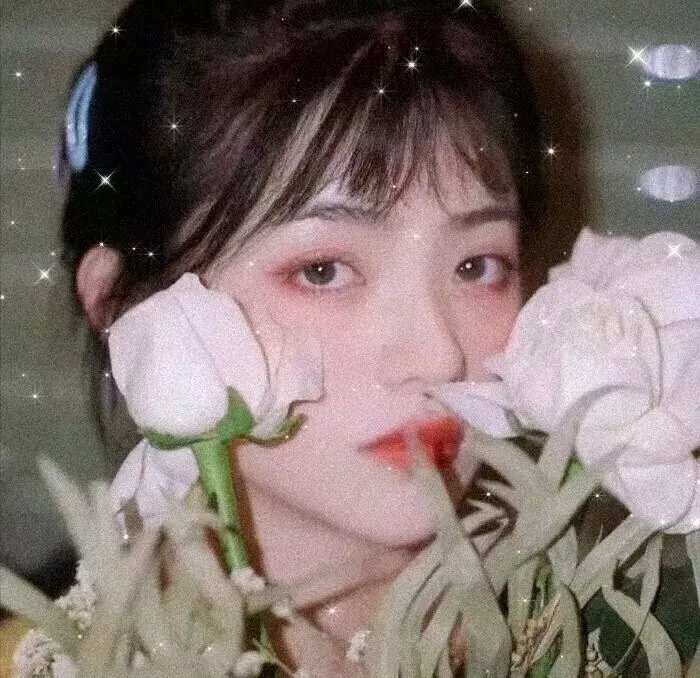 狐狸王子